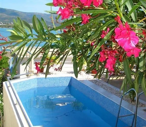 Apartman Palace View